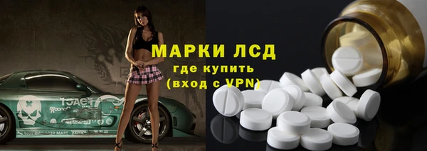 прущие грибы Нягань