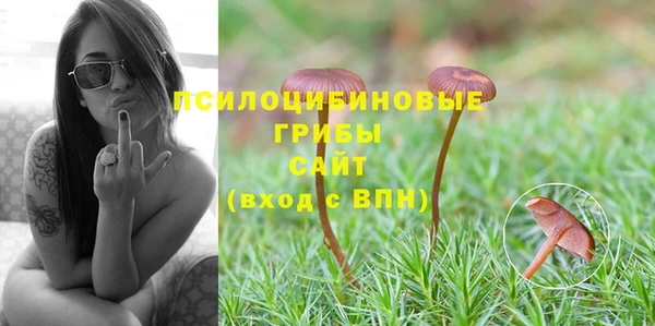 метамфетамин Нязепетровск