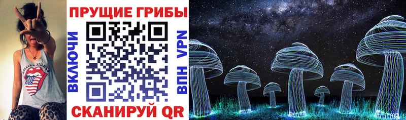 Галлюциногенные грибы прущие грибы  kraken ССЫЛКА  Берёзовский 